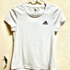 服/ファッション Tシャツ レディース