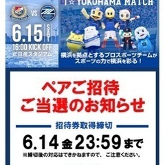 ⚽️同行者募集6/15(土)16:00~町田戦@日産スタジアム