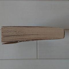 ふたりの恋の物語の画像