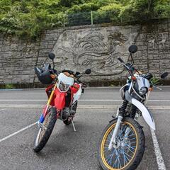 [交換可]セロー250の画像