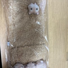 ハムスターが可愛いペーパーストッカー