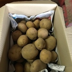 新じゃが（500g）男爵、メークイン、北あかりの画像