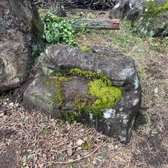 溶岩石　庭石差し上げます。の画像