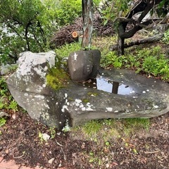 溶岩石　庭石差し上げます。の画像