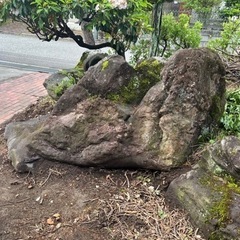 溶岩石　庭石差し上げます。
