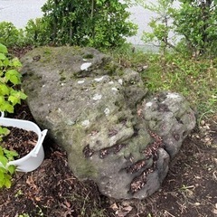 溶岩石　庭石差し上げます。の画像
