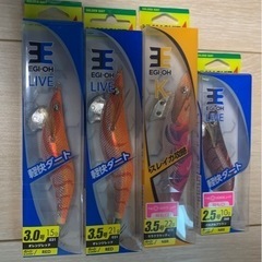 エギング　フィッシング　釣具屋