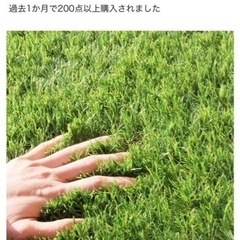 【問い合わせ終了】 　人工芝 