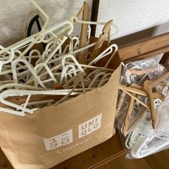生活雑貨 洗濯用品 ハンガー