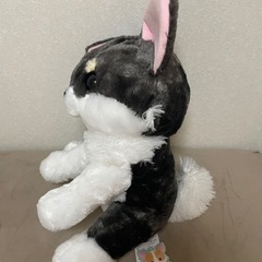チワワ ぬいぐるみの画像