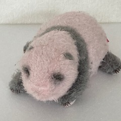 シャンシャン（香香）誕生10日目のぬいぐるみ
