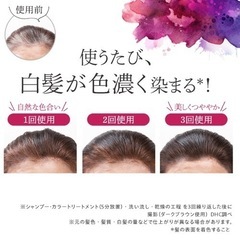 新品未開封　人気　DHC Q10プレミアムカラートリートメント　白髪染め　ダークブラウンの画像