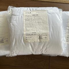 新品トゥルースリーパー True Sleeper 肌掛け布団シン...