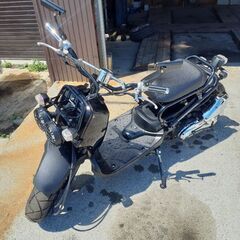 ズーマーカスタム50c.c.   ZOMMER CUSTOM