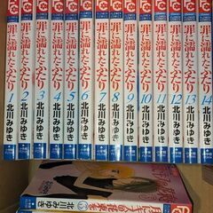 罪に濡れたふたり1-14巻 月にキスの花束を1−3全巻