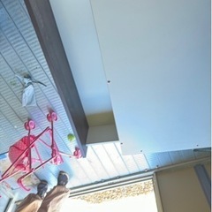 木材の画像