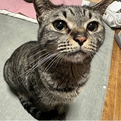 里親募集です！