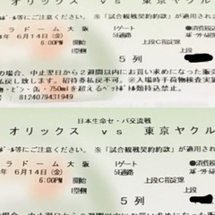 商談中です‼️野球観戦チケット2枚