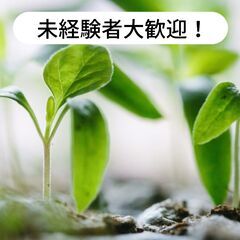愛媛県松前町大字大間で野菜等の苗をつくる作業の補助のお仕事！【単...