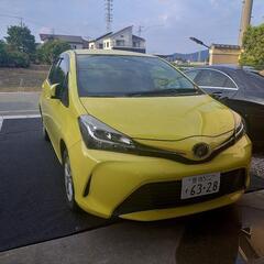 ヴィッツ★元気です