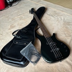 楽器 弦楽器、ギター