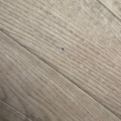 クッションフロア置くタイプの画像