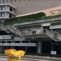 ソフトバンクホークス、
ユニフォーム型バッグの画像