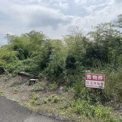 土地 栃木県栃木市大平町北武井(約440坪) 1,100万円