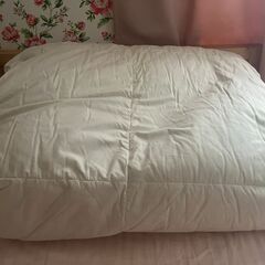 羽毛布団 家具の中古が安い!激安で譲ります・無料であげます(25 羽毛布団 家具の中古が安い!激安で譲ります・無料であげます(25