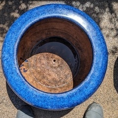 【値下げ】　鉢　陶器　金魚　めだか　睡蓮の画像