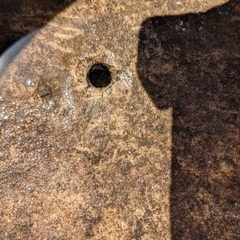 【値下げ】　鉢　陶器　金魚　めだか　睡蓮の画像
