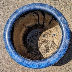 【値下げ】　鉢　陶器　金魚　めだか　睡蓮の画像