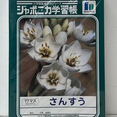 ジャポニカ学習帳 B5 さんすう 17マス 10冊