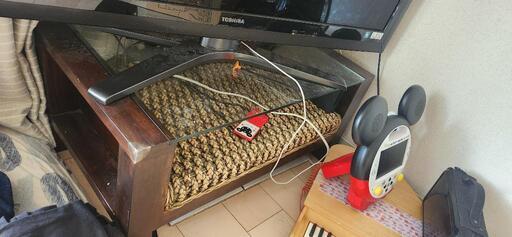 家電 テレビ