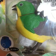 センサーミュージックバード🐦の画像