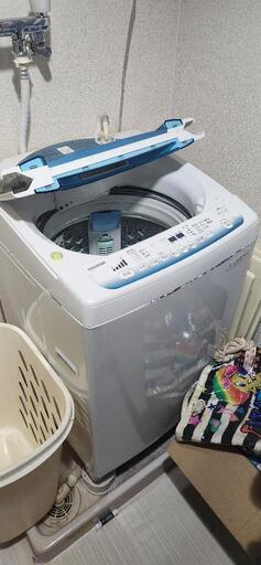 家電 生活家電 洗濯機