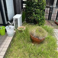 実家の草抜きなどの軽作業（御礼有り）