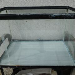 40cm x30cm水槽