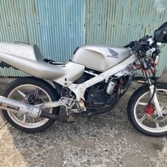 Honda ns1 原付　バイクの画像
