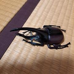 昆虫人形の画像