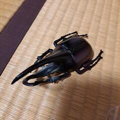 昆虫人形