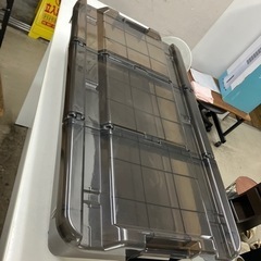 K2406-283 カインズ キャリコオレア 浅型 クリアブラウ...