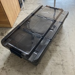 K2406-284　カインズ  キャリコオレア 浅型 クリアブラ...