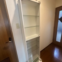 コレクションラック 浅型ハイタイプの画像
