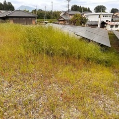 草刈り•除草作業の画像
