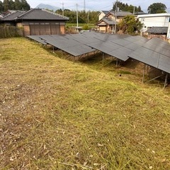 草刈り•除草作業の画像