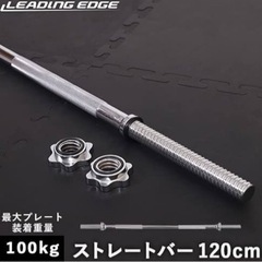 交渉中　美品！バーベルシャフト120cm10kプレート　2枚セット
