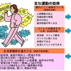 ウォーキング仲間募集中　友達作りにどうですか？