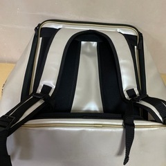 ダイワ  DAIWA へらリュック LT 40の画像