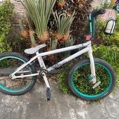 BMX wethepeople zodiac